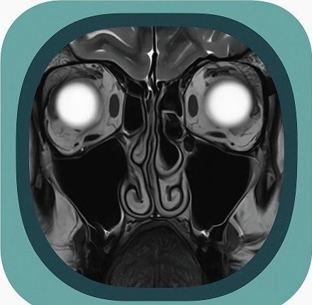MRI face anatomy icon